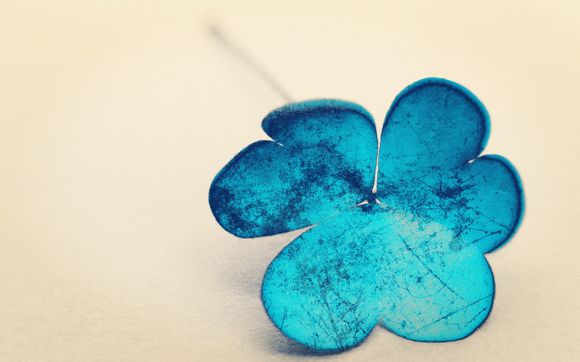 黑狼犬幼犬多少钱一个，黑狼犬幼犬多少钱一个幼崽