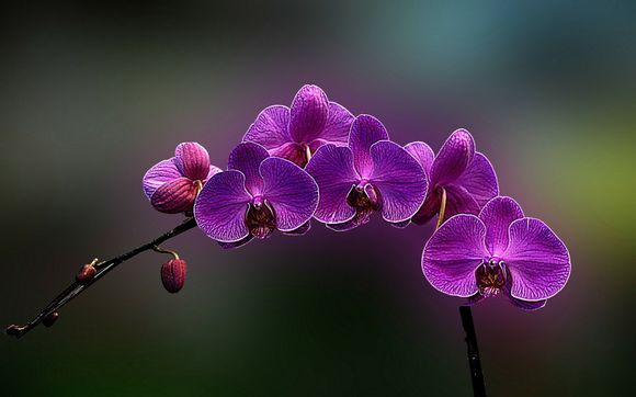 怎么可以胖一点，怎样才能胖一点