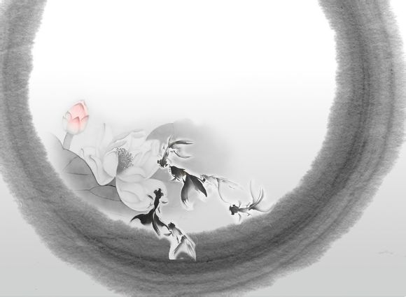狗狗怎么检测抗体，狗狗检测抗体要多少钱