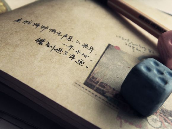 纯种细狗多少钱一只，纯种细狗多少钱一只啊